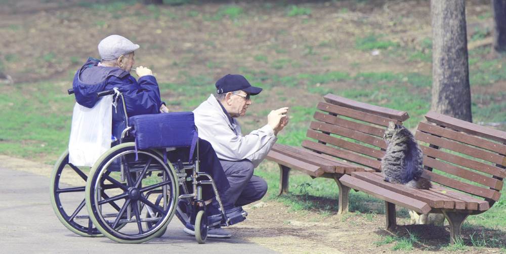 Прогулки пожилых в инвалидном кресле